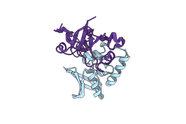 8S2M image
