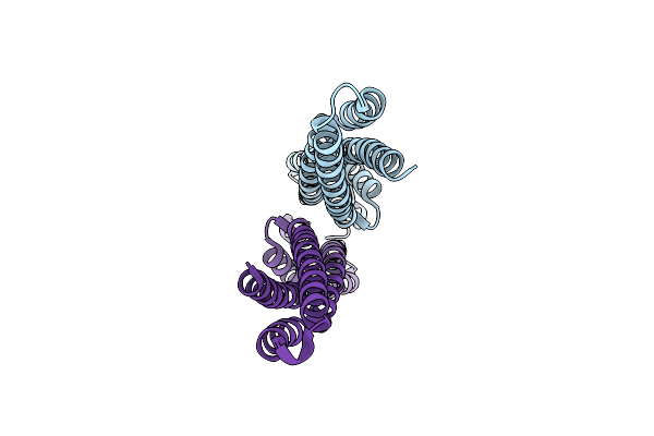 8S2P image