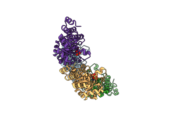 8S2W image