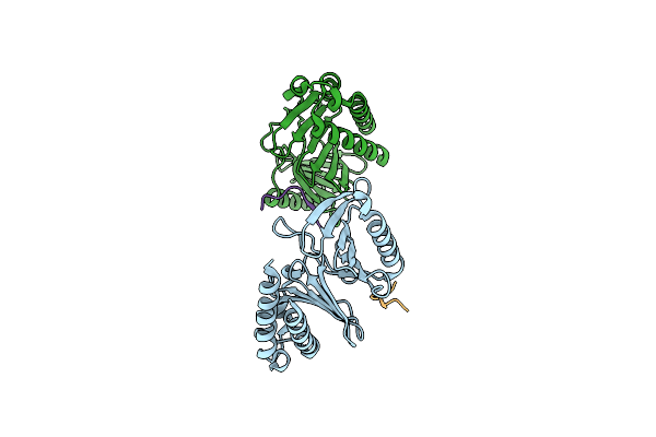 8S31 image