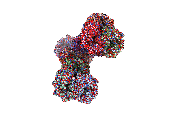 8S33 image