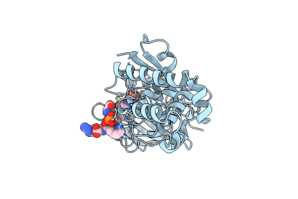 8S3W image