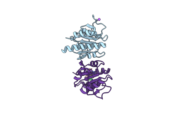 8S46 image