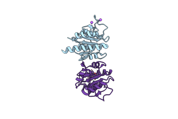 8S49 image