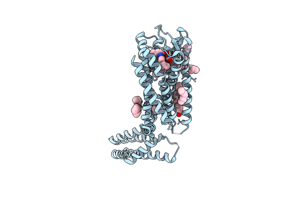 8S4D image