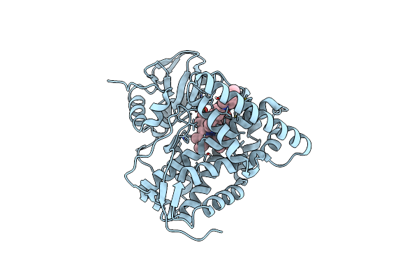 8S53 image