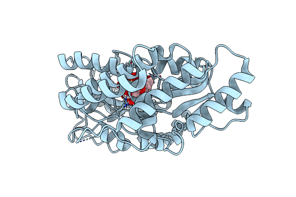 8S5B image