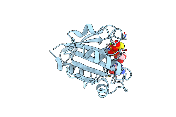 8S5C image