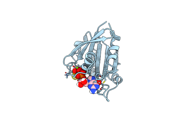 8S5D image