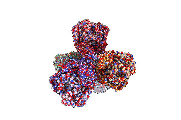 8S5J image