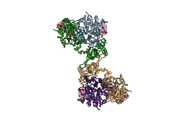 8S5L image