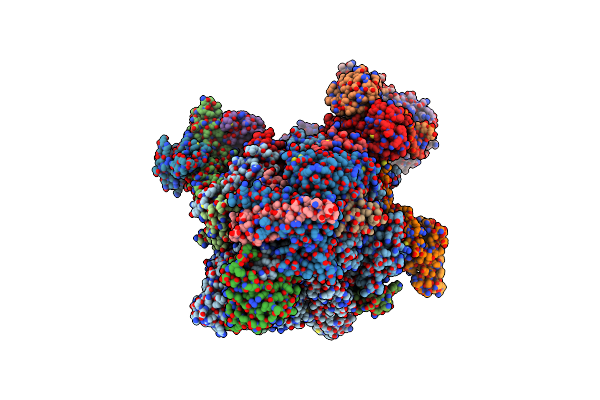 8S5N image