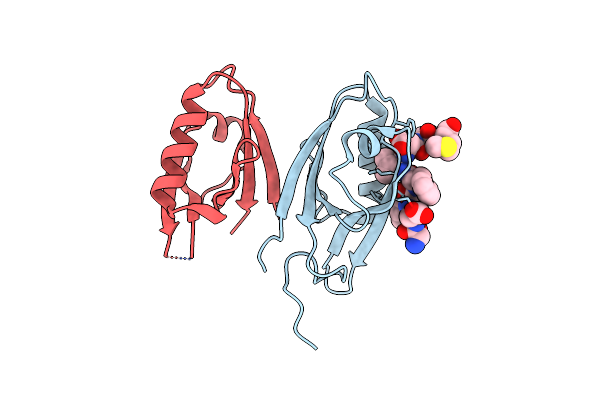 8S6A image