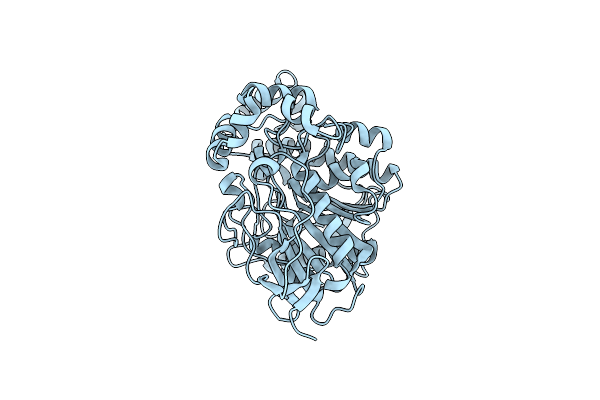8S6D image