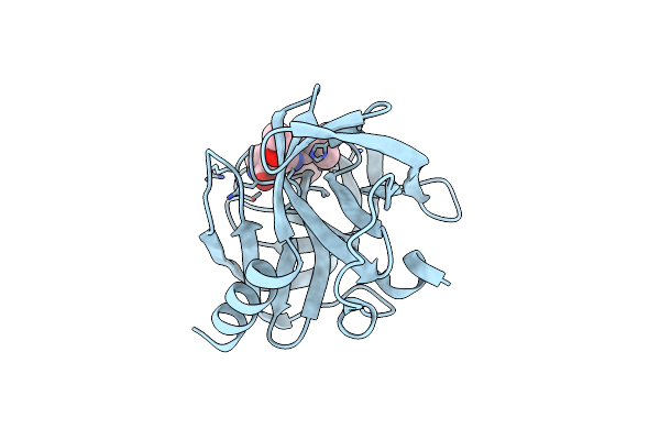 8S6F image