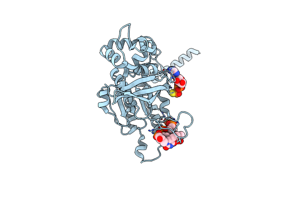 8S70 image