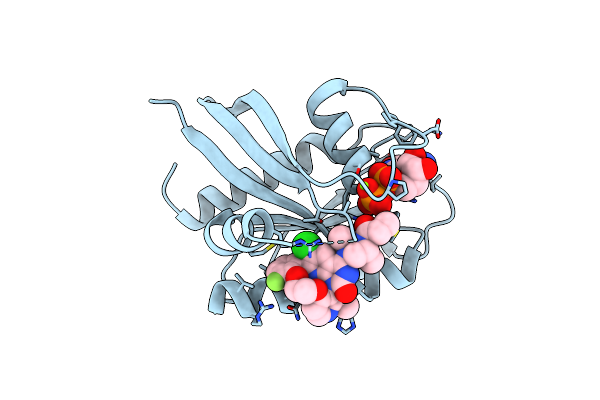 8S8C image