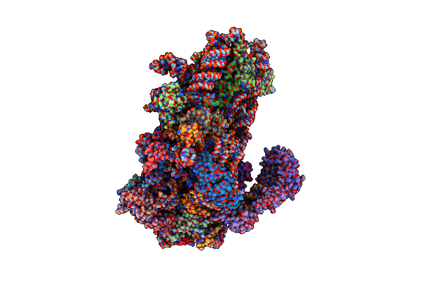 8S8F image