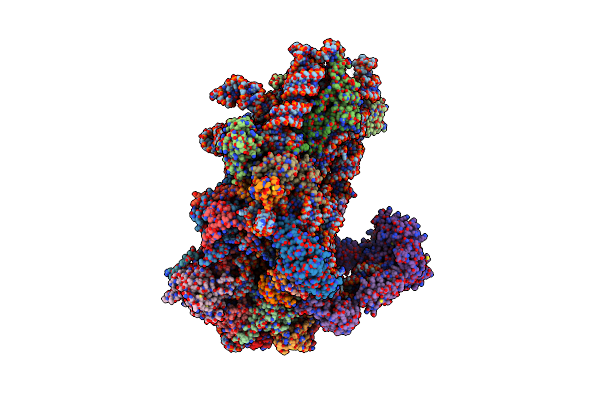 8S8G image