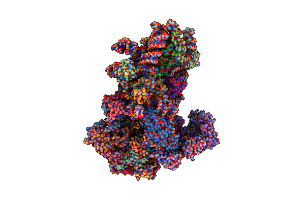 8S8K image