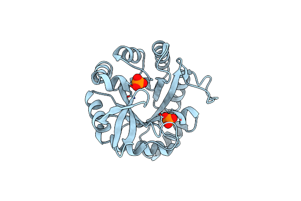 8S8R image