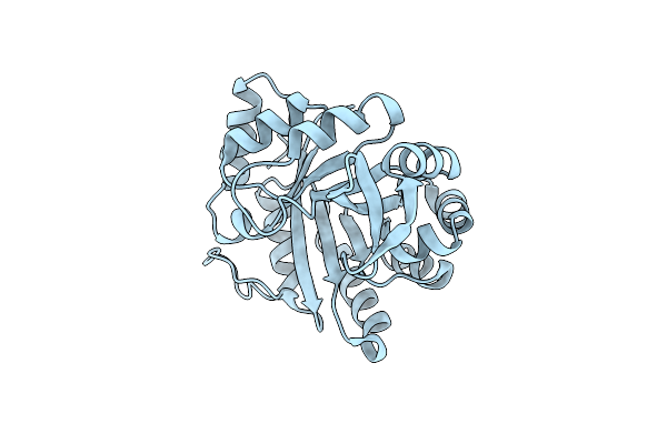 8S8S image