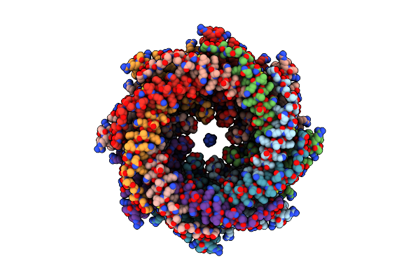 8S8Z image