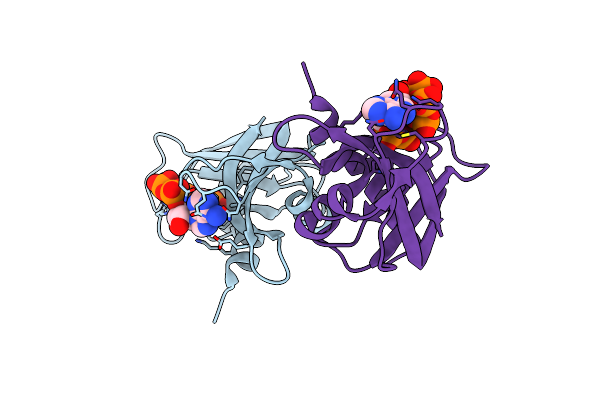8S96 image