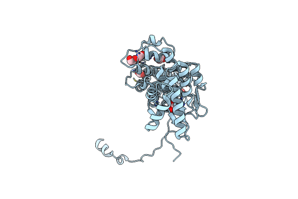 8S9D image