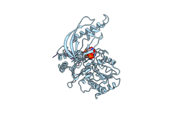 8S9I image