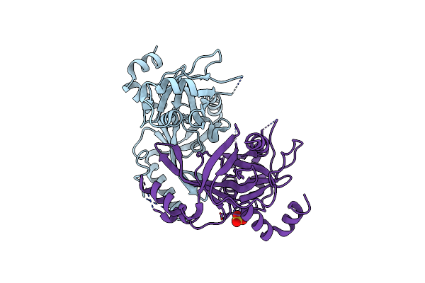 8S9L image
