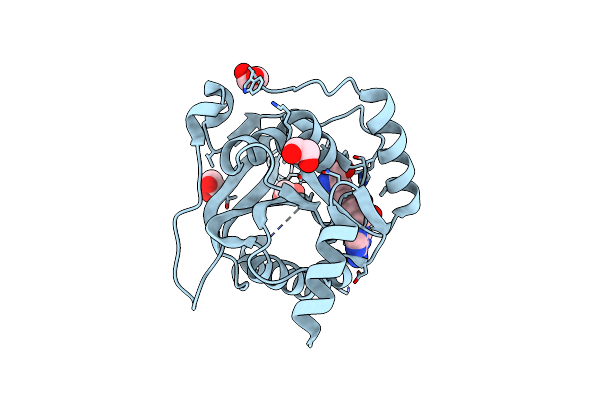 8S9N image