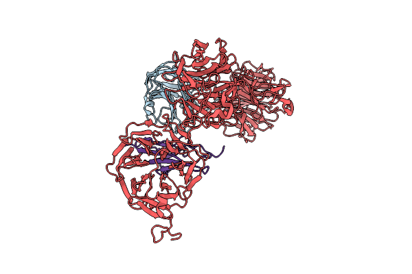 8S9P image