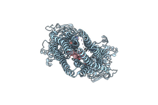 8SA1 image