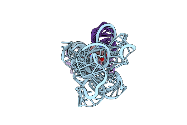 8SA5 image