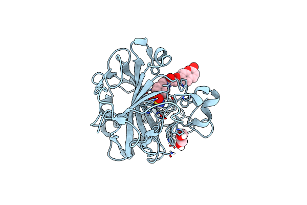 8SAG image