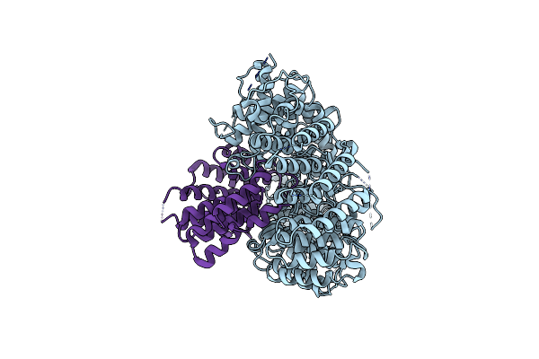8SAH image