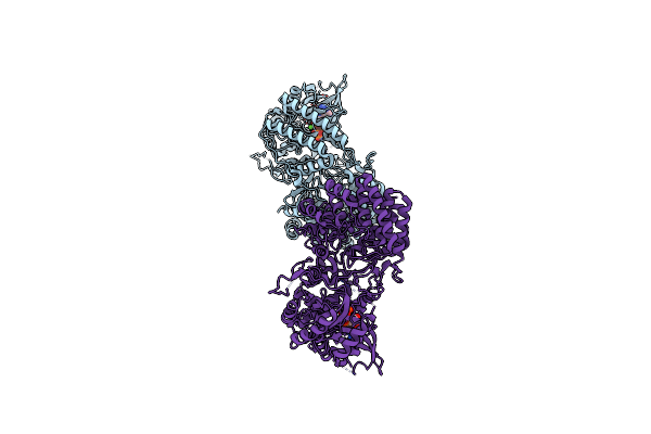 8SAM image