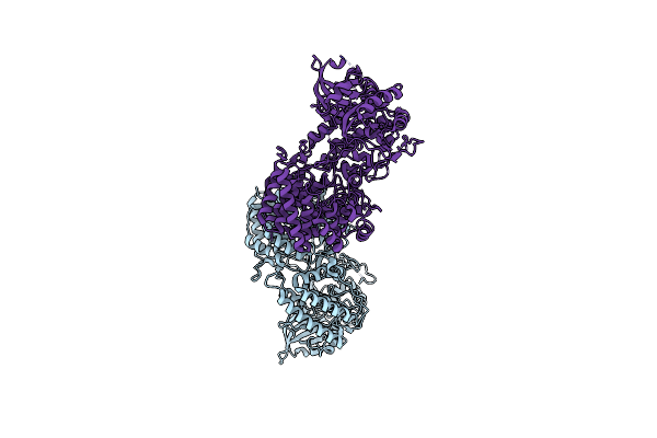 8SAP image