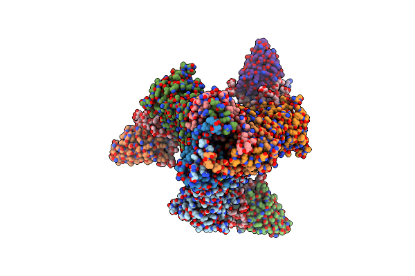 8SAS image