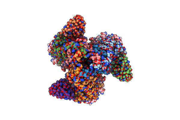 8SAV image