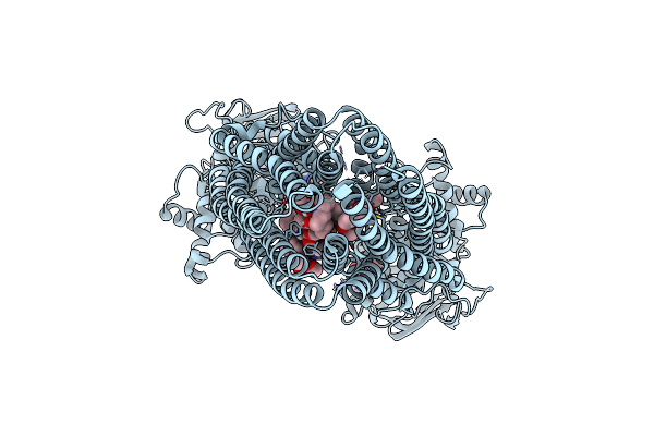 8SB9 image