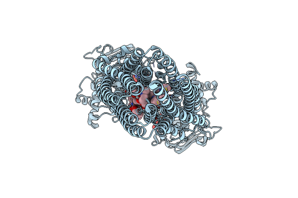 8SBA image
