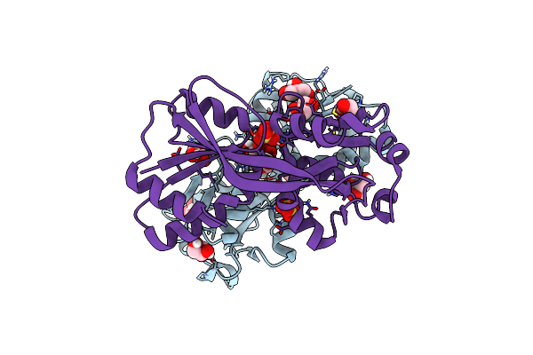 8SBH image