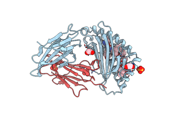 8SBK image