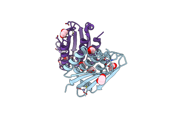 8SBM image