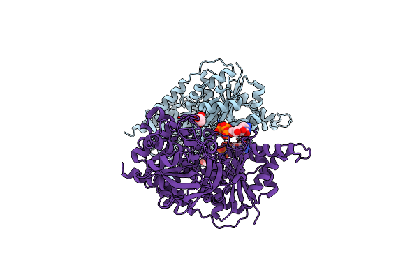 8SBR image