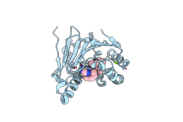 8SBT image
