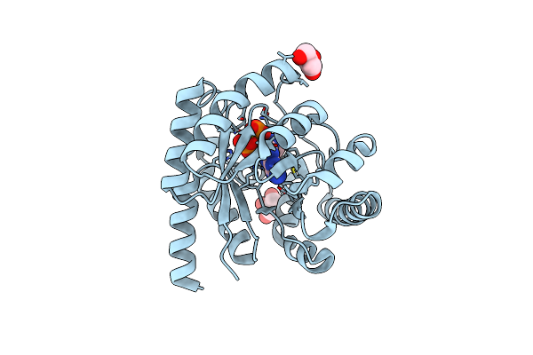 8SCD image