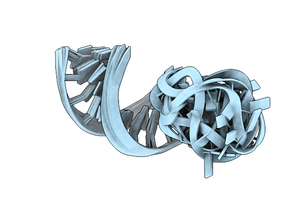8SCF image